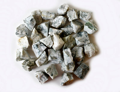 Tree Agate Rough Rocks (Trust and Self-Discipline)