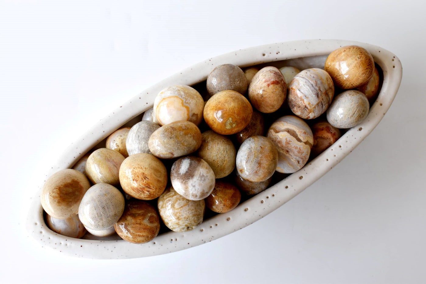 Fossil Coral Tumbled crystals (Grounding and longevity)