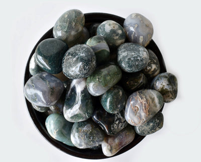 Moss Agate Tumbled Crystals (Generosity and Resolution)