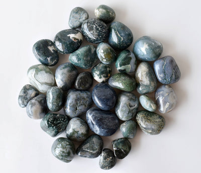 Moss Agate Tumbled Crystals (Generosity and Resolution)